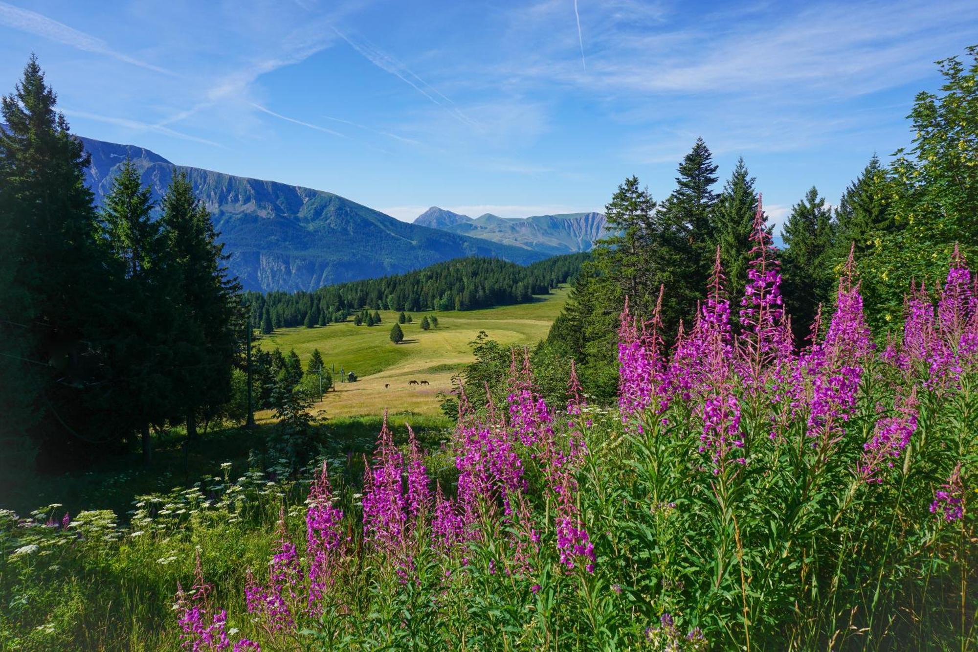 Les Villages Du Bachat 3*